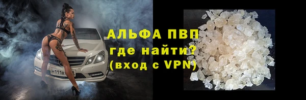 твердый Дубна