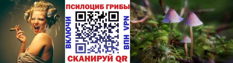 Галлюциногенные грибы мицелий  blacksprut   Осташков 
